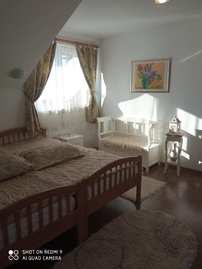 Agropensiunea Florina-Maria Branistea  エクステリア 写真