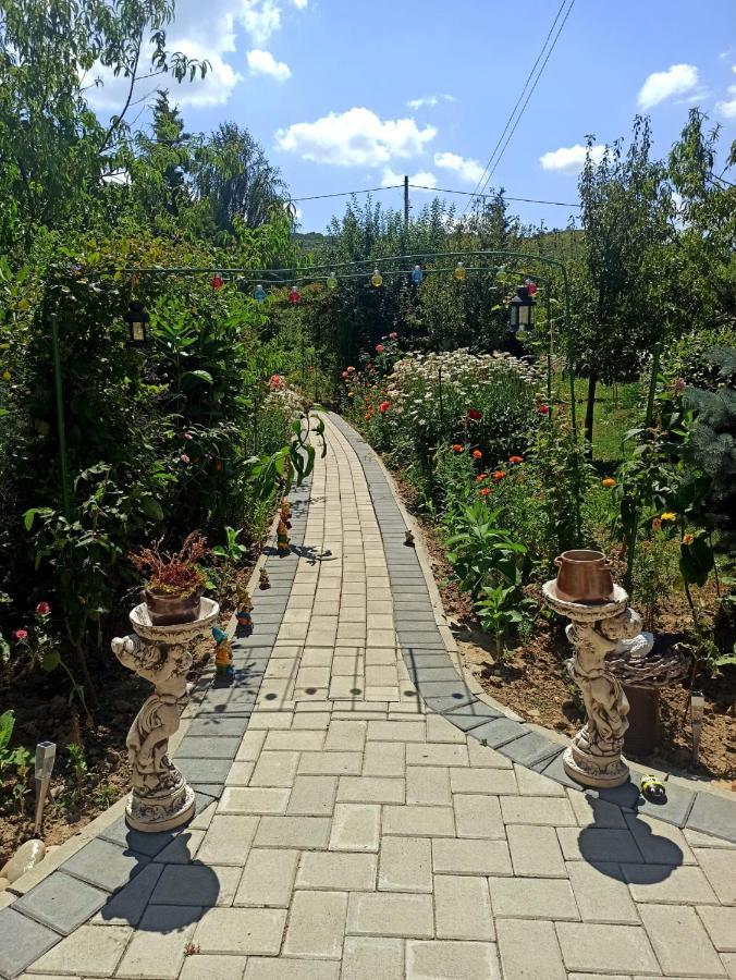 Agropensiunea Florina-Maria Branistea  エクステリア 写真